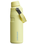 Stanley IceFlow™ Bottle with Fast Flow Lid | 16 OZ